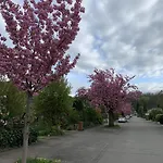 Apartament Seewest Singen