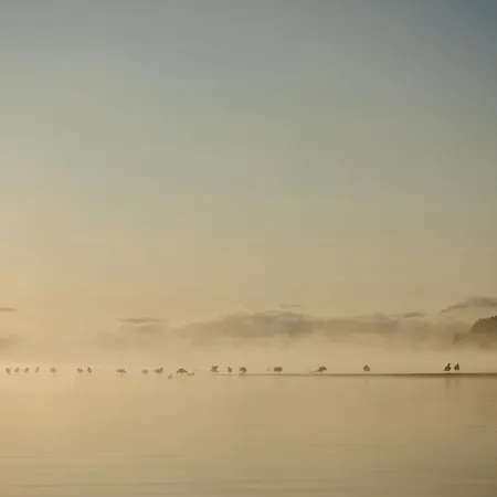 Seewest Appartement *