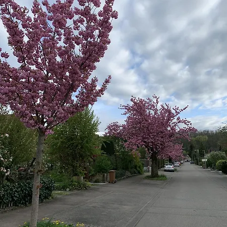 Appartement Seewest Singen