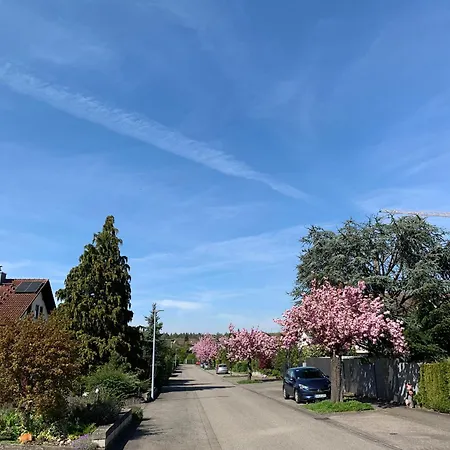 Seewest * Singen