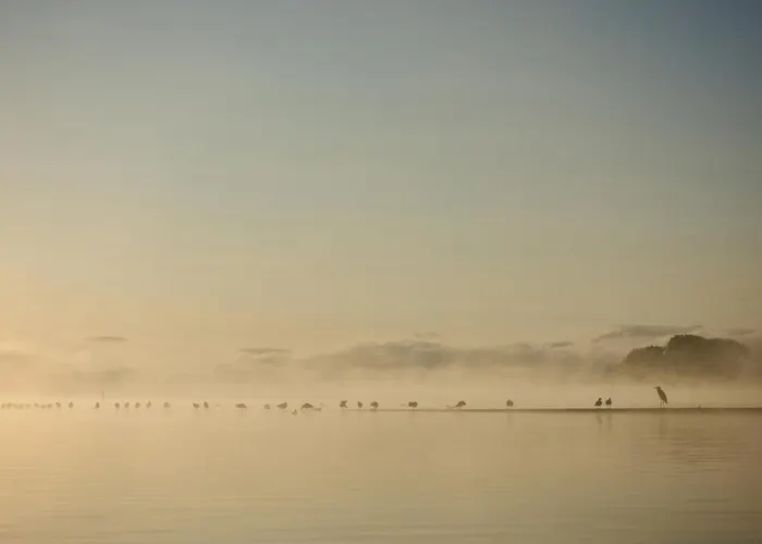 Seewest Διαμέρισμα *