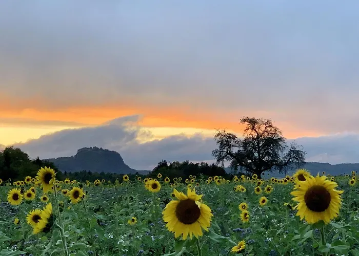 Апартаменты Seewest