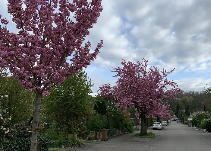 Διαμέρισμα Seewest Σίνγκεν