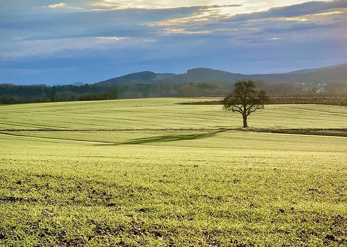 Seewest Διαμέρισμα