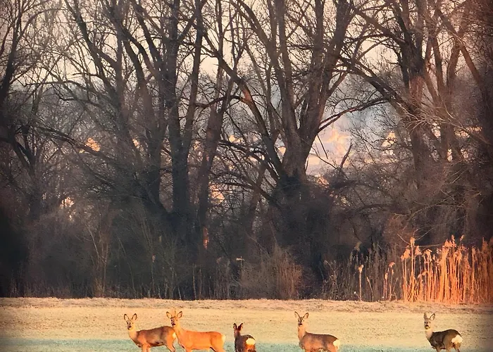 Seewest Διαμέρισμα